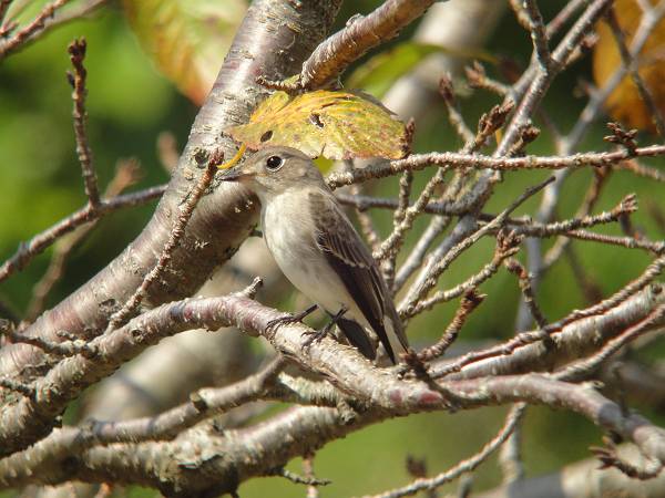 �R�T���r�^�L